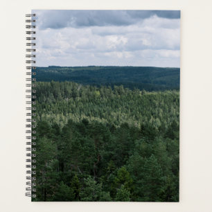 Luftbild Nordischer Wald Natur Landschaft Foto Planer
