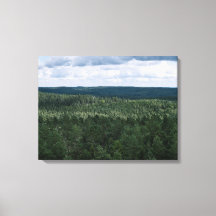 Luftbild Wald Und Wolken Natur Landschaftsfoto
