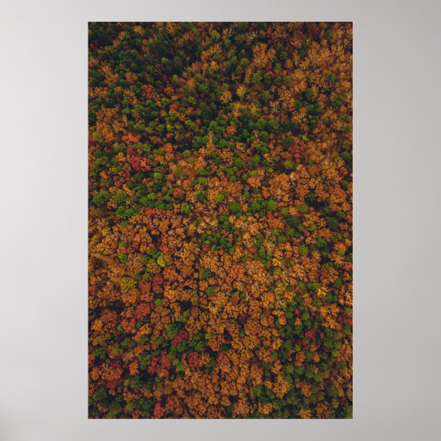 Luftbildaufnahmen von Wäldern Poster (Vorne)