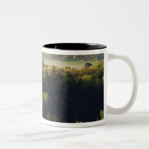 Luftblick auf den Wald in der Höhle Cove, Grosser Zweifarbige Tasse