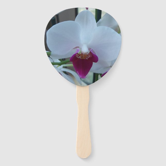 Lüfter mit weißer und lila Orchidee Fächer (Vorderseite)