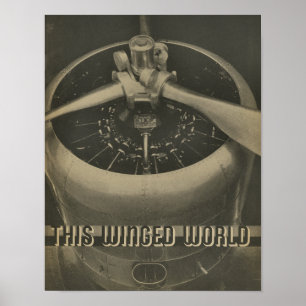 Luftfahrt-Flugzeug-Motor-Zeitschrift-Kunst-Druck Poster
