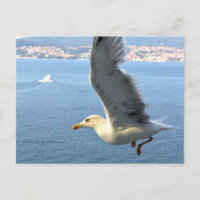 Luftpost Seagull Postkarte