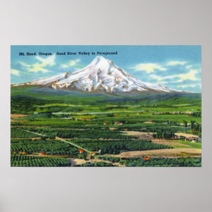 Luftsicht auf Hood River Valley and Mountain Poster