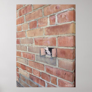 Lüftungs-Tag Poster