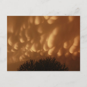 Lügner aus dem Himmel Postkarte