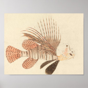 Luigi Balugani - Lionfish Poster