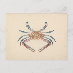 Luigi Balugani - Portunua Pelagicus - Blauer Krebs Postkarte