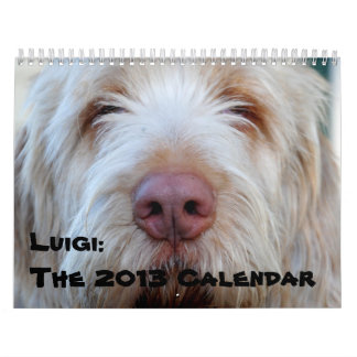 Luigi:  Der Kalender 2013