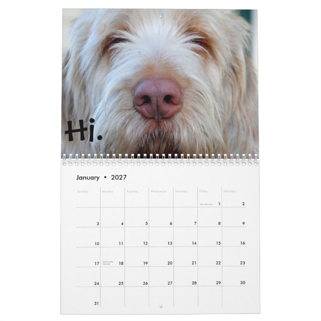 Luigi:  Der Kalender 2013 (Jan 2027)