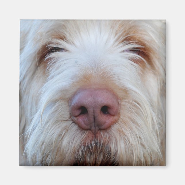 Luigis Booper-Kühlschrankmagnet Magnet (Vorne)