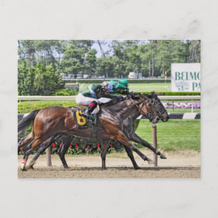 Luis Saez auf Milesmore im Belmont Park Postkarte