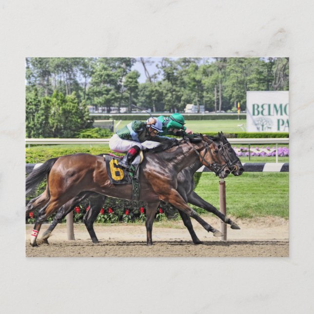 Luis Saez auf Milesmore im Belmont Park Postkarte (Vorderseite)