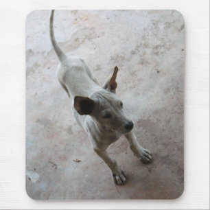 Luk Maa ... Thai Soi Puppy Dog Mousepad