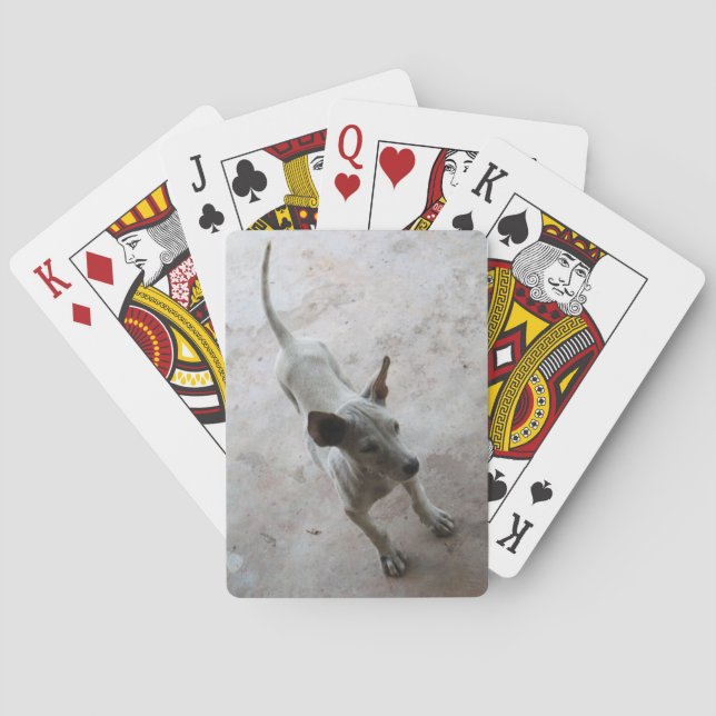 Luk Maa ... Thai Soi Puppy Dog Spielkarten (Rückseite)