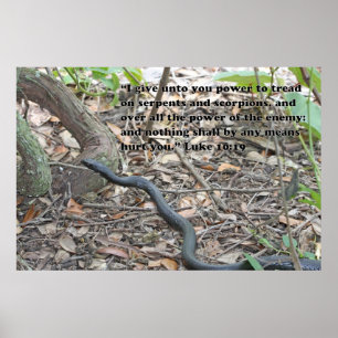 Luke 10:19 Bibelposter Poster