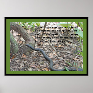 Luke-10:19 Schrifts-Plakat (Version B) Poster