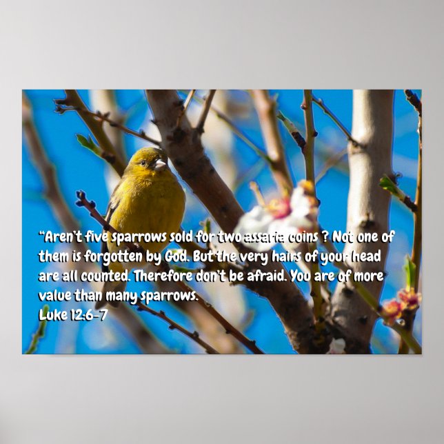 Luke 12:6-7 poster (Vorne)