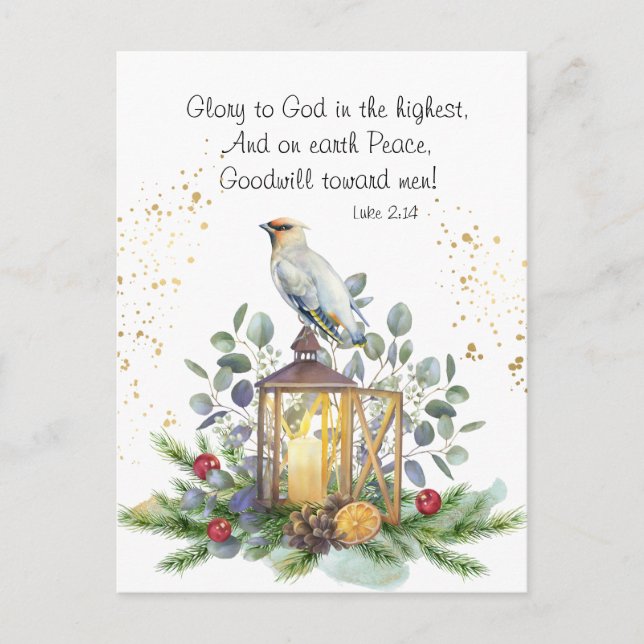 Luke 2:14 Ruhm an Gott in den höchsten Weihnachten Postkarte (Vorderseite)