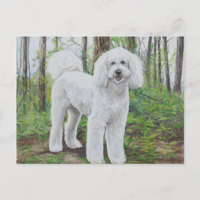 Luke le Doodle d'or carte postale (Devant)