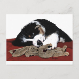 Lullaby Berner & Bunny Postkarte