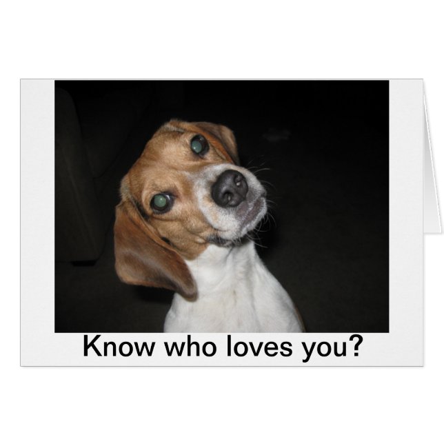 LuLu Belle (Vorderseite (Horizontal))