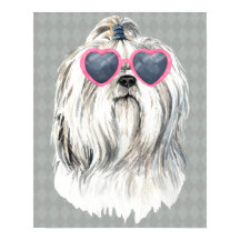 Lulu der Lhasa