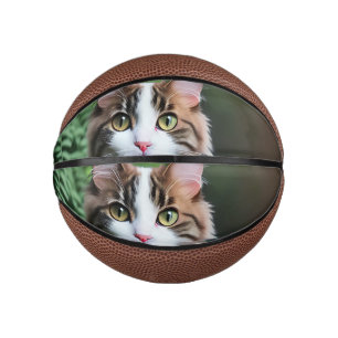 Lulu Die Ragdoll Katze, Kinder Basketball