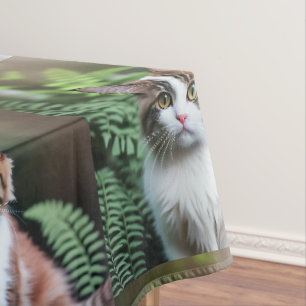 Lulu Die Ragdoll Katze, Tablecloth Tischdecke