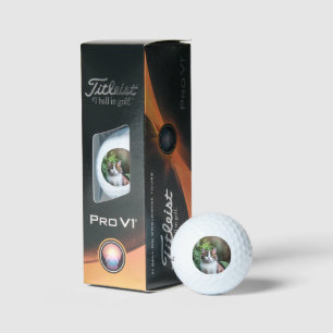 Lulu The Ragdoll Cat, Titleist Golf Balls Golfball