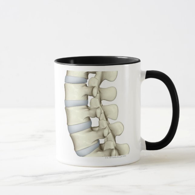 Lumbale Wirbel Tasse (Rechts)