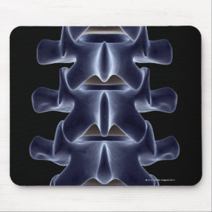 Lumbaler Wirbel 2 Mousepad