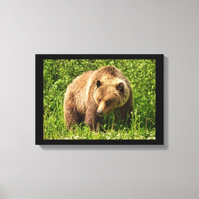 Lumbering Grizzly Bear Canvas Print Leinwanddruck (Vorderseite)