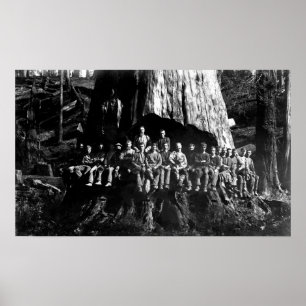 LUMBERJACKS IN UNDERCUT — 1884 POSTER