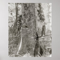 Lumberjacks mit Riesenfeuer, 1905. Vintages Foto