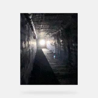 Lumière au bout du tunnel de la mort