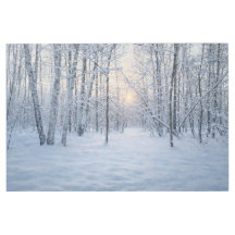 Lumière d'hiver dans une forêt de bouleaux calme