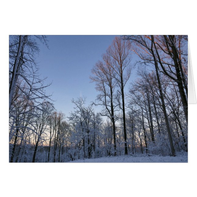 Lumière du matin d'hiver I (Devant horizontal)