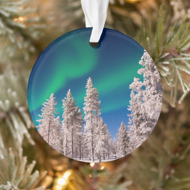 Lumière du Nord hivernal (Arbre)