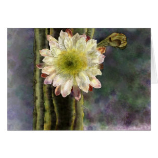 Lumière du premier matin