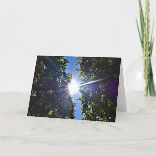 Lumière solaire à travers les arbres, carte