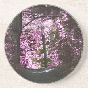 Lumière Sur Le Dessous de verre Naturel Path