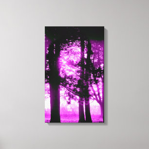 Lumière violette avec toile de silhouette