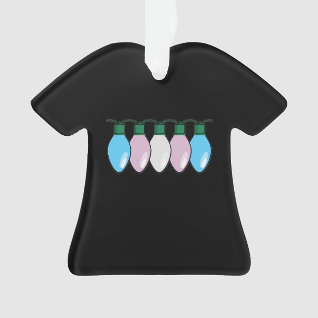 Lumières de Noël de drapeau de fierté de (devant)