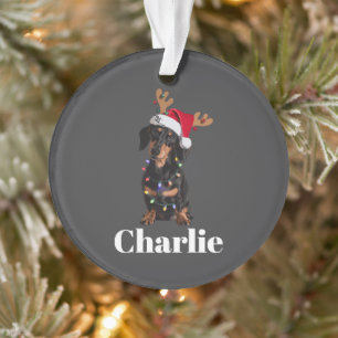 Lumières de Noël pour chien teckel personnalisées 