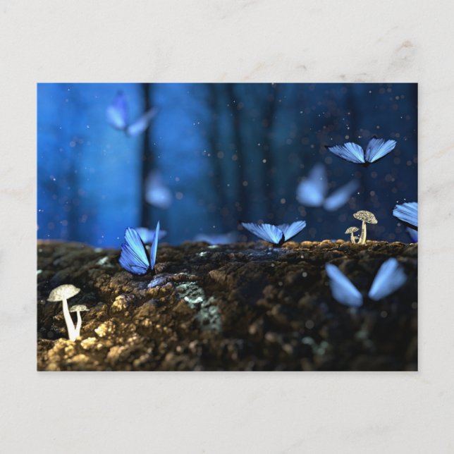 Lumineszente Pilze Postkarte (Vorderseite)