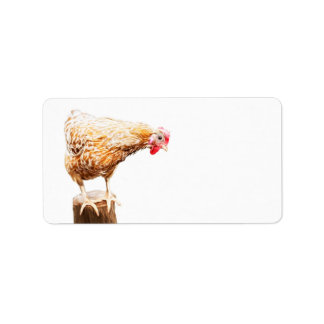 Luminous Chicken Art Shipping Label Sticker Adressaufkleber
