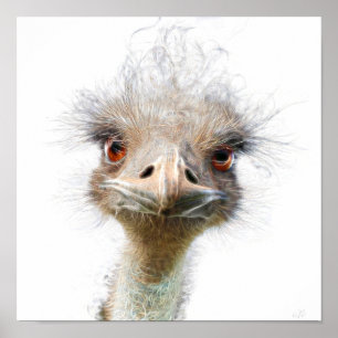 Luminous Emu Art-Hähnchenart-Poster Poster