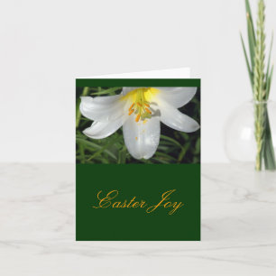 Luminous White Lily / Osterfreude Feiertagskarte