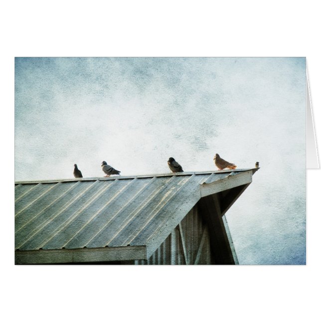 L'un d'eux n'appartient pas (Devant horizontal)